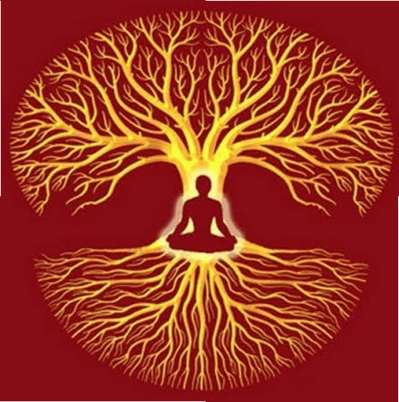 El árbol De La Vida Símbolos Con Significado