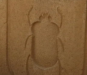 simbolos significado escarabajo