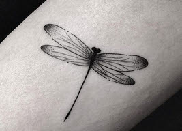 libélulas tatuadas